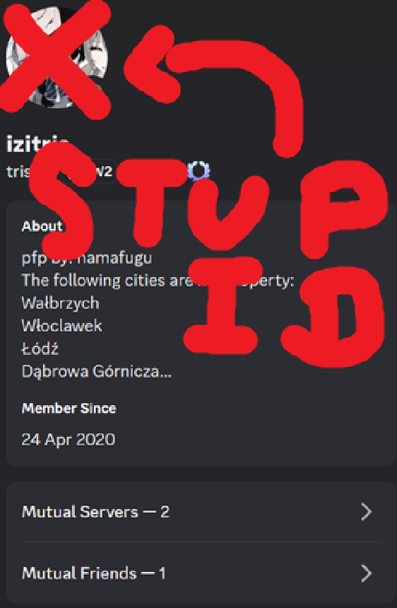 izitris' profile on discord crossed out with the word stupid